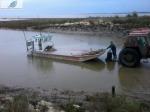 huitres ostrea annonce conchyliculture